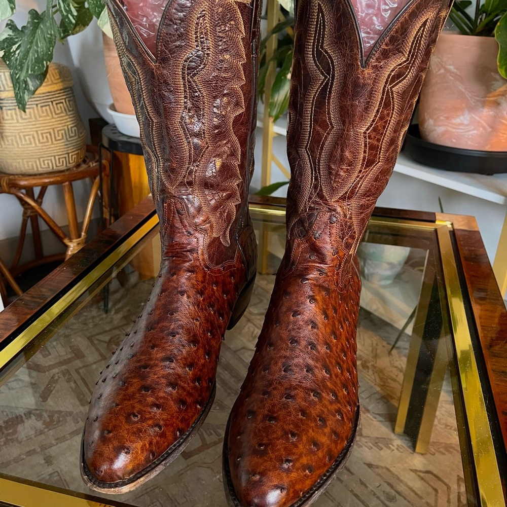 Dan Post Ostrich Boots